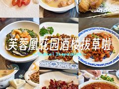 -芙蓉凰花园酒楼