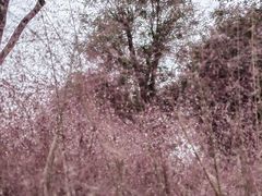 -汉长安城未央宫国家考古遗址公园