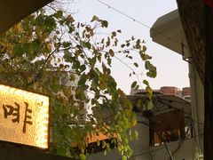 -微饮cafe