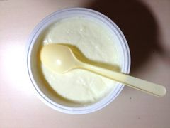 原味双皮奶-三元梅园(劲松店)
