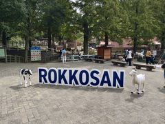 -神户市立六甲山牧场