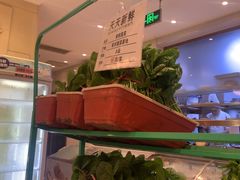 -山东宾馆·齐鲁苑餐厅