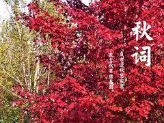 -南京枫彩漫城