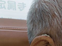 -海之声助听器 瑞士峰力直营中心(华麟大厦店)