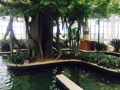 -太白山御龙湾温泉