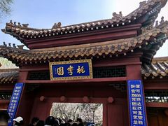 -桃花堤公园