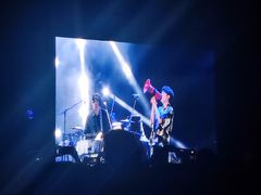 -上海国际音乐村