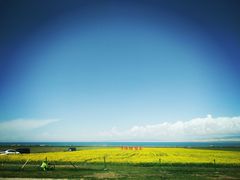 -青海湖国家重点风景名胜区