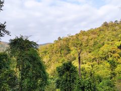 -野象谷景区