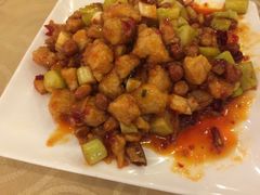 宫保鸡丁-红京鱼(西坝河店)
