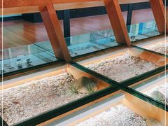 -昆明动物博物馆