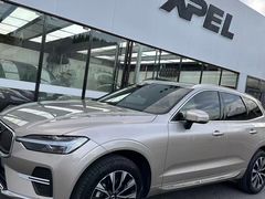 -XPEL旗舰店·汽车贴膜·隐形车衣·改色贴膜