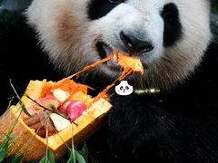 -老王豆皮