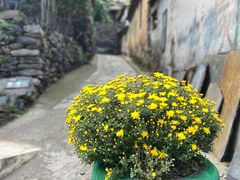 景观位-南窖乡水峪村山情农家