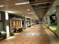 -香港大学