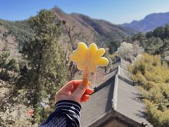 -潭柘寺景区