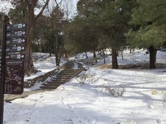 -香山公园