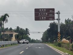-东郊椰林