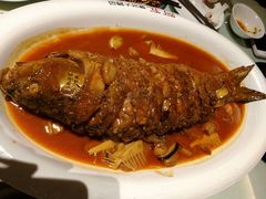 -阿五黄河大鲤鱼(纬三路店)