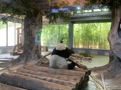 -海南热带野生动植物园