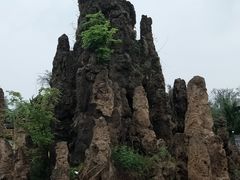 -神州牡丹园
