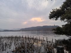 -湖畔居茶楼(湖滨店)