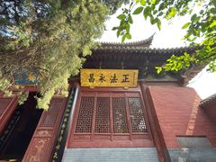 -洛阳白马寺