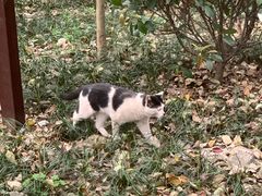 -上海佘山国家森林公园天马山园