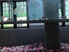 -龙格亲子游泳·水育早教运动中心(绿城店)