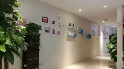 -净妍美肌专业净毛嫩肤连锁机构