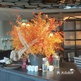 外滩海胆水饺，味蕾新体验