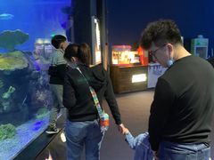-江和美海洋公园