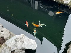 -金海华·华宴江南(斜塘店)