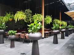 -Tivano意大利餐厅(成都居舍酒店)
