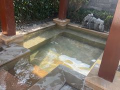 -嘉兴清池酒店温泉