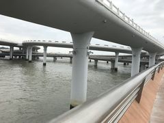 -演武大桥观景平台