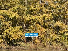 -上海海湾国家森林公园