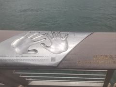 -星光大道