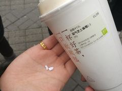 -奈雪的茶(市百一店)