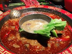 -蜀辣居鲜货老火锅(双流万达店)