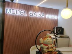 -MODEL SAGA名媛世家