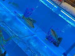 -怡咖啡·自助餐·西安香格里拉