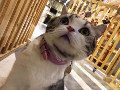 -小时光咖啡馆(开森度假森林店)