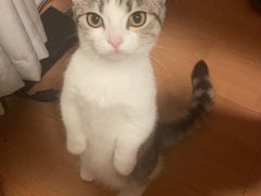 -中农国际动物医院24小时·猫科·骨科·急重症中心