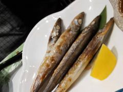 -黑松白鹿(新活馆店)