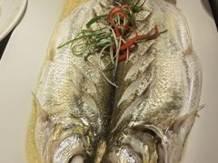 -吴越荣记苏州菜·松鼠桂鱼100%活鱼现做(斜塘老街店)