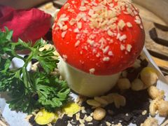 -菌彩云南野生菌火锅(万达广场店)