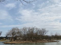 -梁鸿国家湿地公园