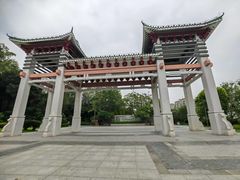 -王借岗森林公园
