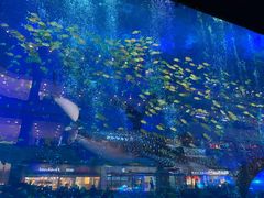 -成都浩海立方海洋公园